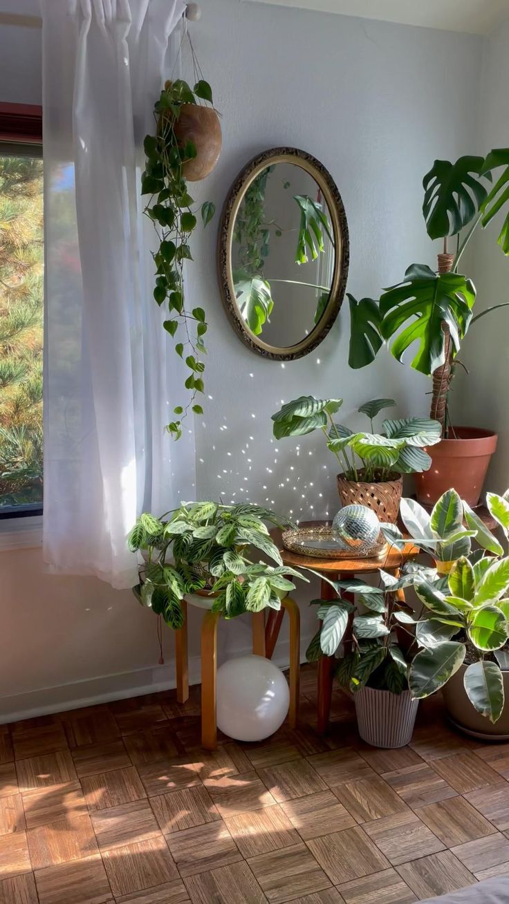 some plants are sitting on a table in front of a window and a round mirror