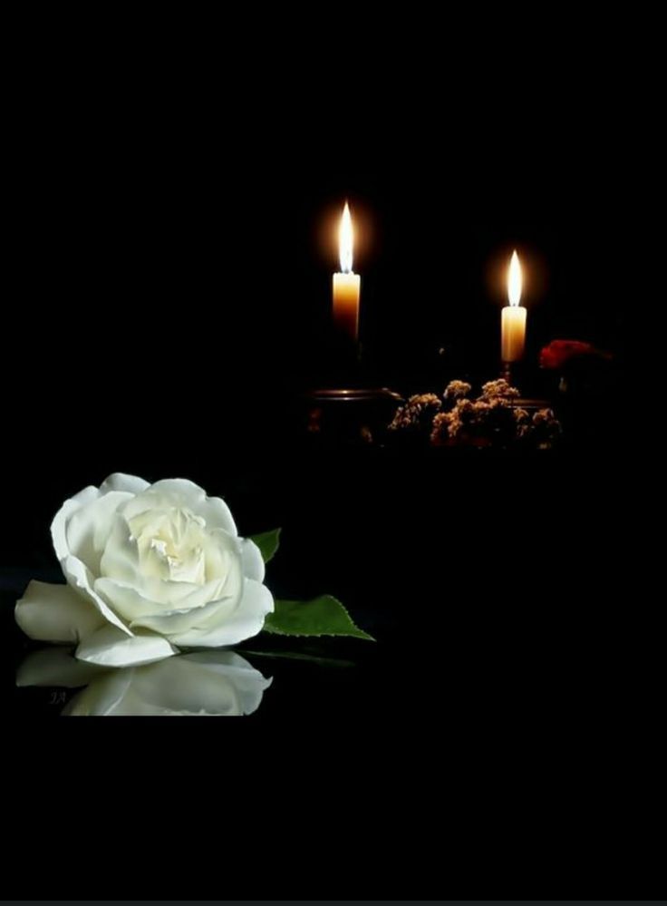 a white rose sitting in front of two lit candles on a black background with reflection