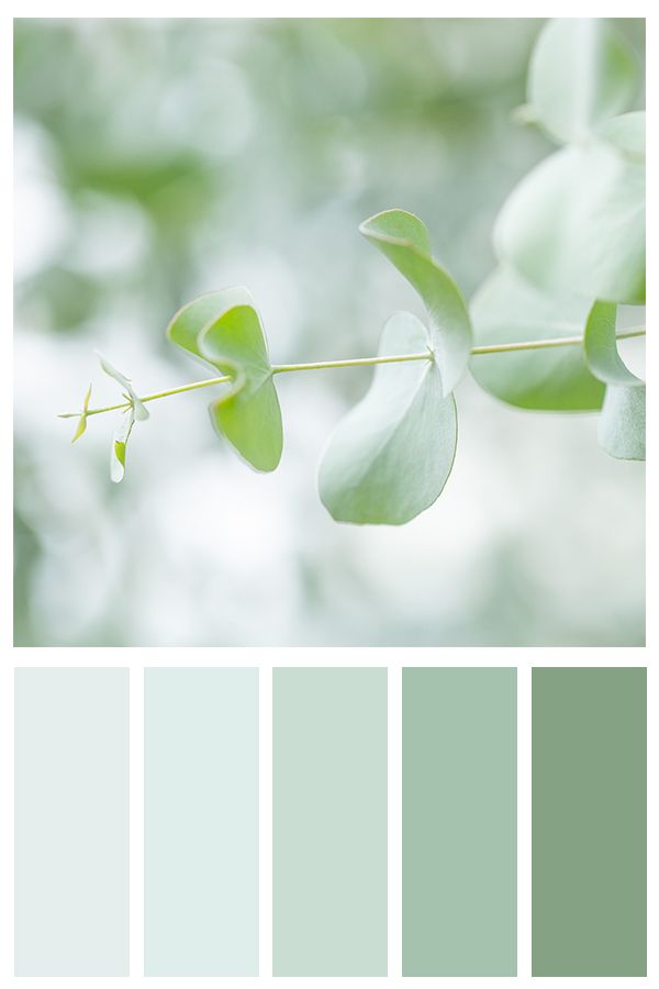 a green color palette with white and grey tones, including the same shade as the leaves