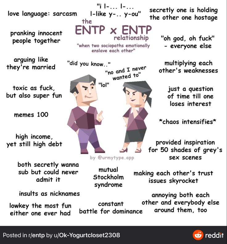 Entp Relationship, Entj Relationships, Entp Personality Type, Intp T, Mbti Relationships, Myers Briggs Personality Types, Mbti Character, Myers Briggs Personalities, 16 Personalities