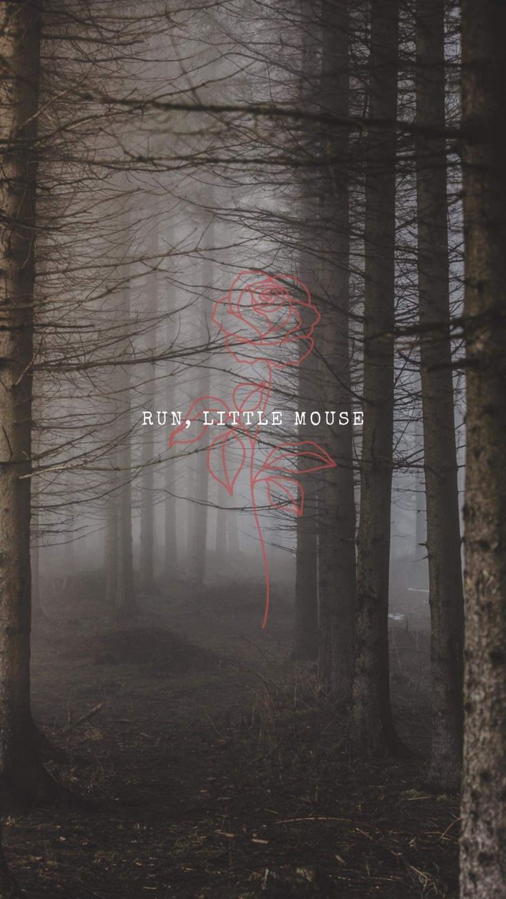 the cover art for run little mouse's new album, running in the woods