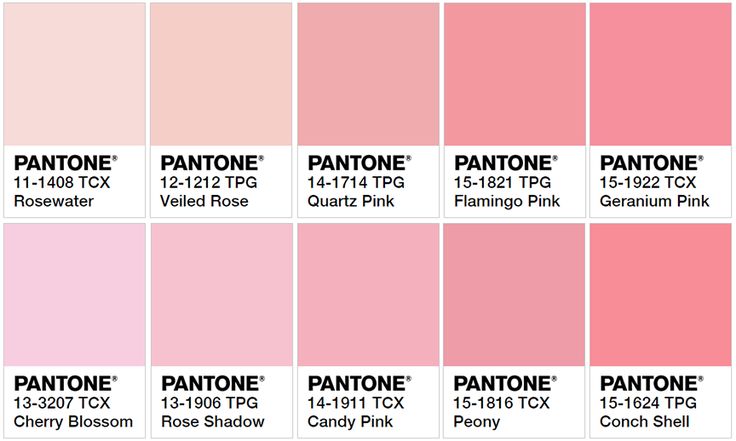 the pantone pink color chart