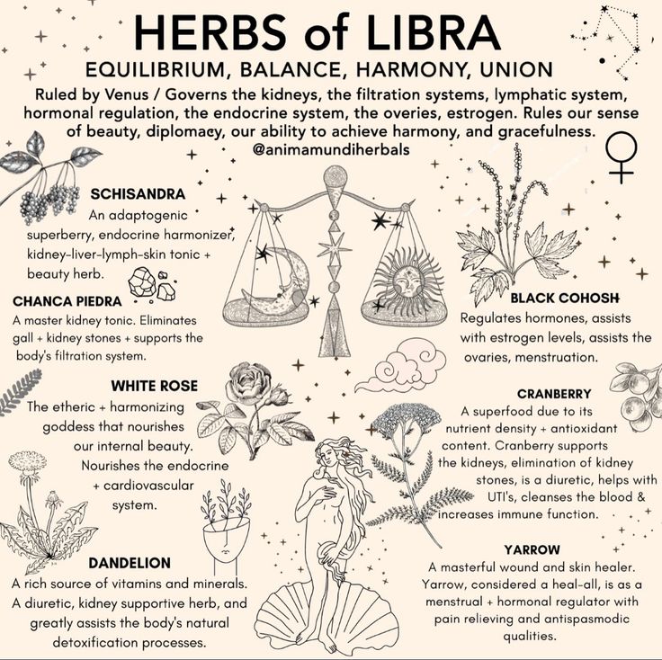 A key energy within Libra as an archetype, is the power of EQUILIBIRUM + HARMONY. Libra, ruled by the gentle and magical powers of Venus, reminds us about the balance we must keep within the relational realm. This isn’t just amongst relationships to fellow humans, this also encompasses the symbiosis we keep with the relational realm in itself as an archetype. Our relationship to reality, nature, to animals, to the system(s) of life, and most importantly, to ourself. @adrianayales Venus rules ae Magickal Herbs, Witch Herbs, Medical Herbs, Magic Herbs, Magical Powers, Magical Herbs, Herbal Apothecary, Herbal Healing, Herbal Magic