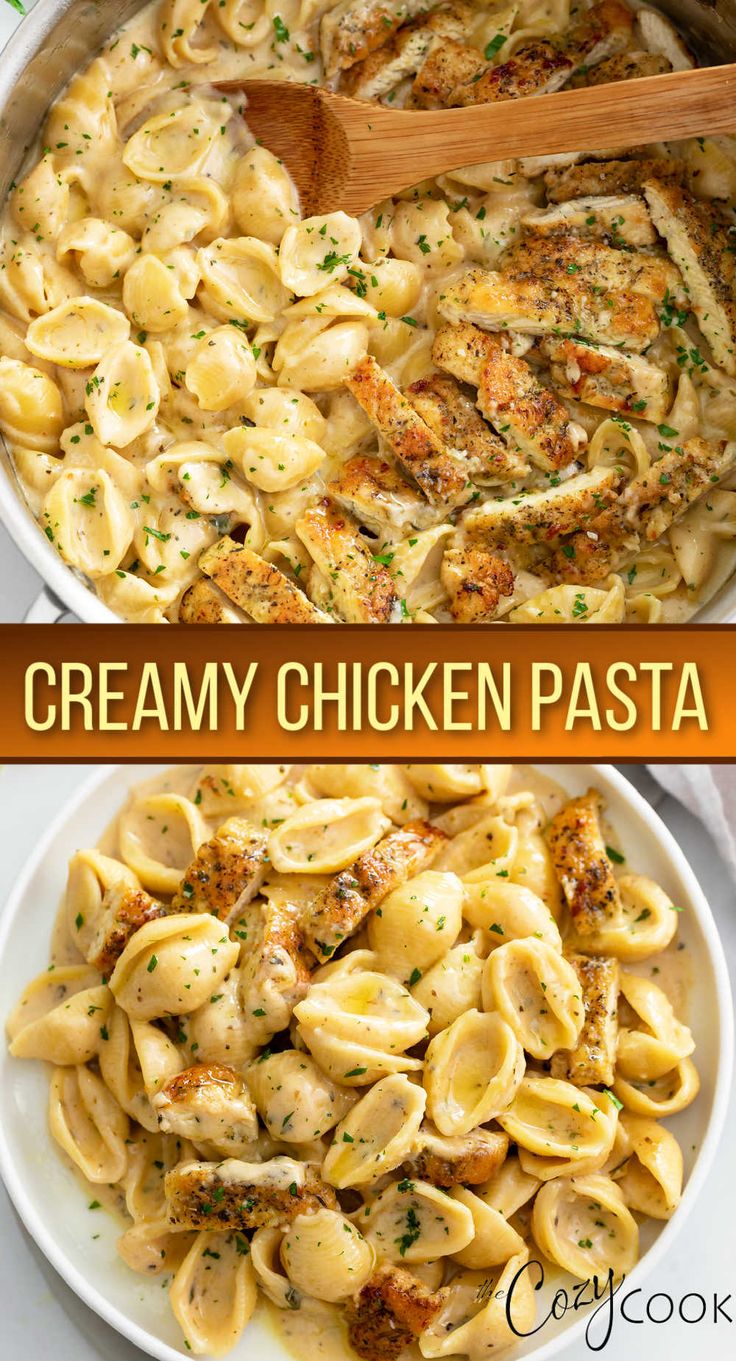 chicken with shell pasta in a creamy white sauce Creamy Chicken Pasta Recipes, Resep Pasta, Easy Pasta Dinner, Creamy Chicken Pasta, Dinner Recipes For Family, Pasta Dinner Recipes, School Snack, Health Dinner Recipes, Chicken Dishes Recipes