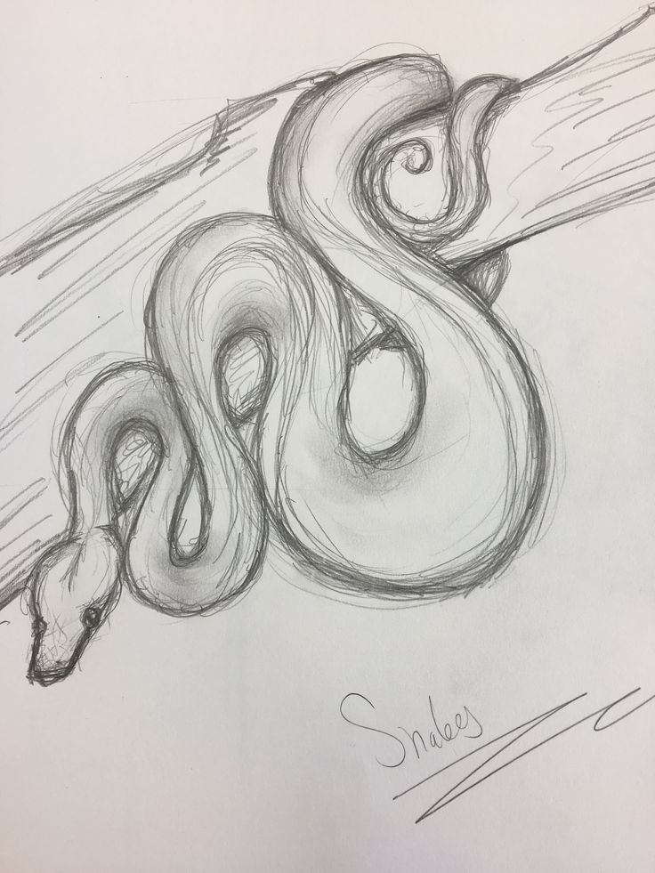 a pencil drawing of a snake on a white paper with the word sea serpent written below it