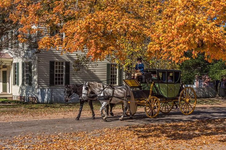 a horse drawn carriage traveling down a road next to a tree filled with orange leaves