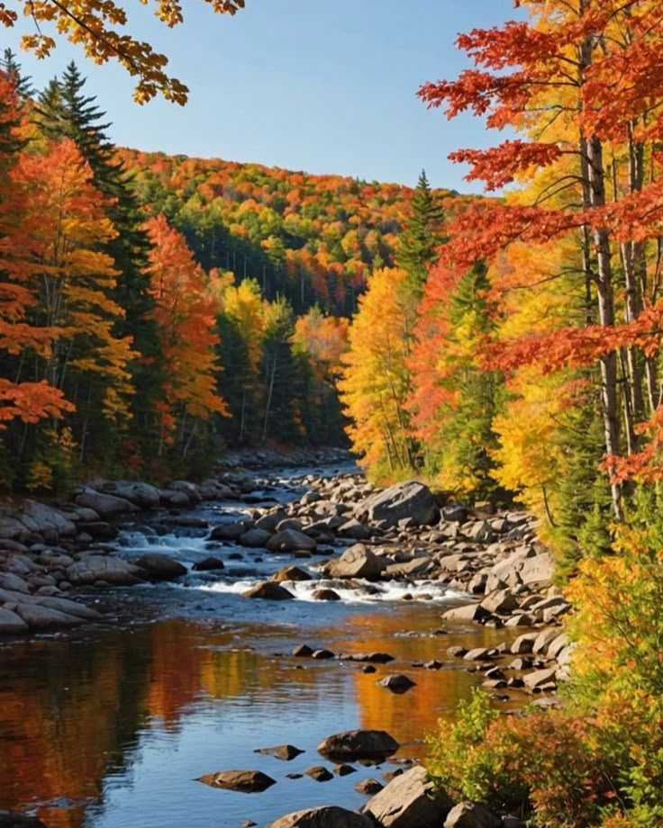 a river running through a forest filled with lots of colorful trees in the fall season