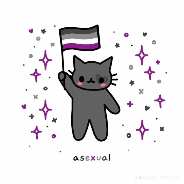 a cat holding a flag with the word asexual on it's chest