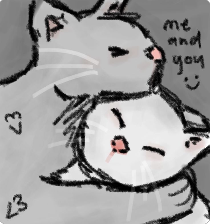 a drawing of a cat hugging another cat with the caption i am not and you