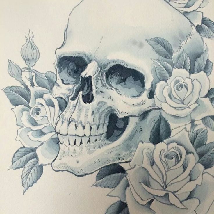 a drawing of a skull with roses on it