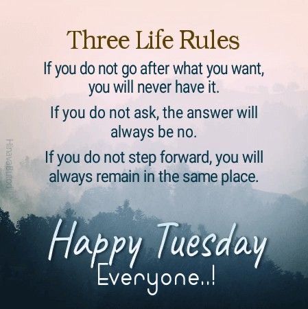 there is a quote that says, three life rules if you do not go after what you want, you will never have it