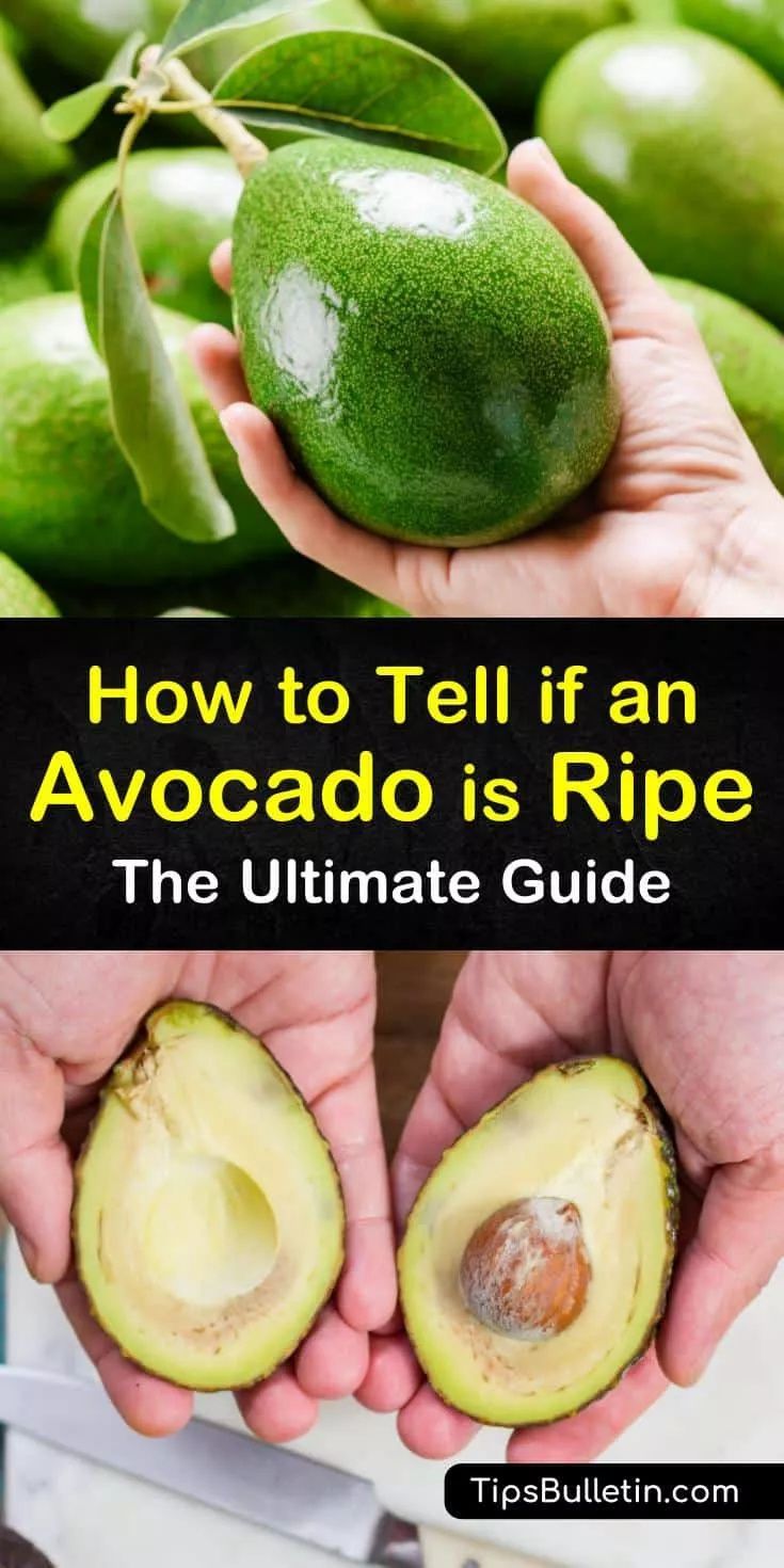 two hands holding an avocado with the words how to tell if an avocado is ripe