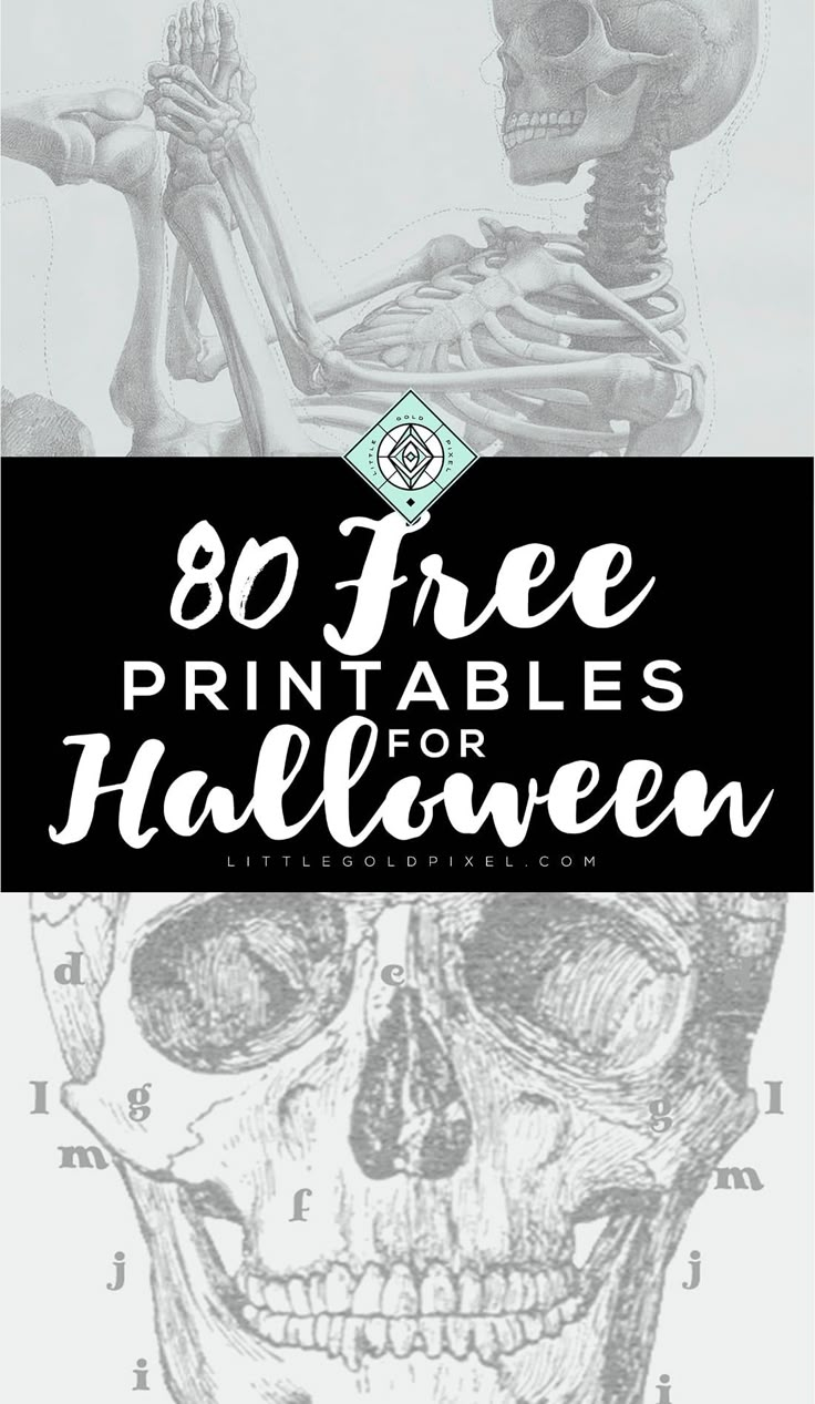 an image of a skeleton with the words 80 free printables for halloween