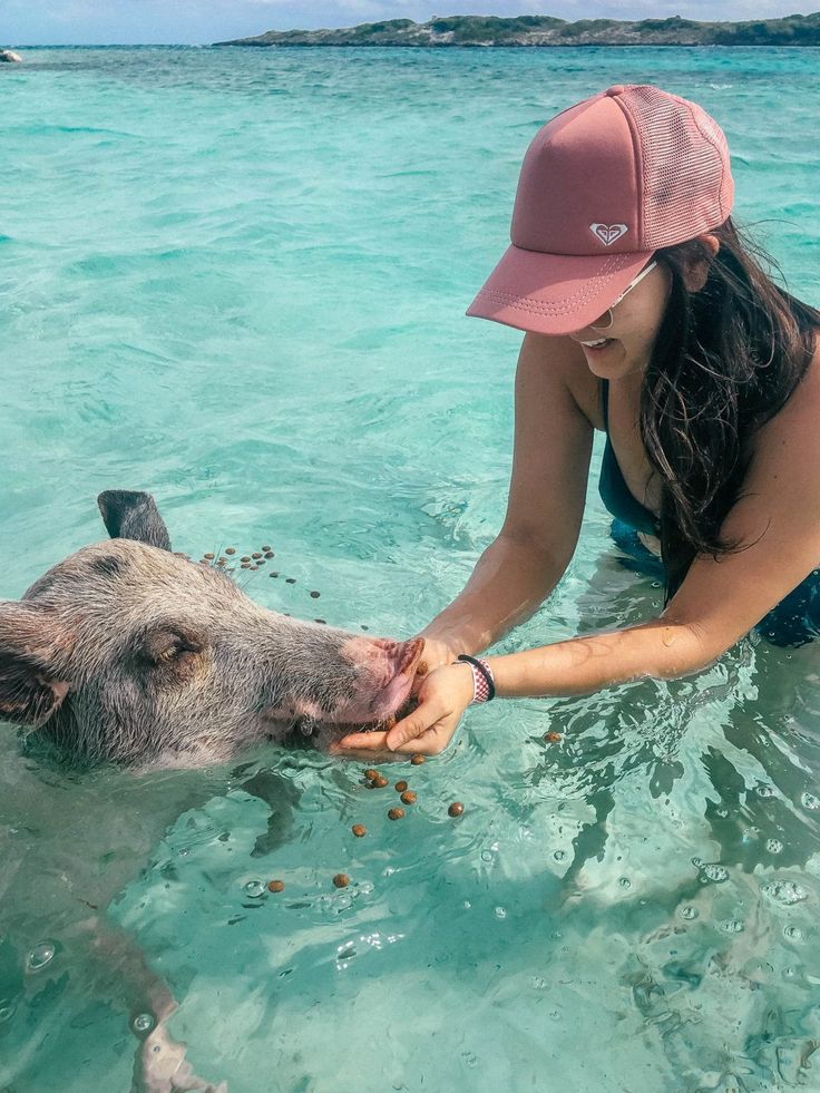 a woman petting a pig in the ocean with clear water and corals around her