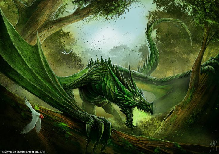 a green dragon sitting on top of a tree branch next to a white bird in the forest