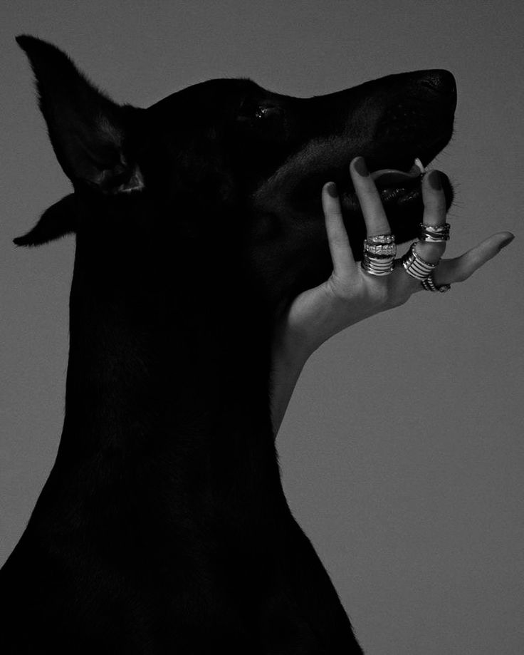 a black and white photo of a dog with its hand on it's face