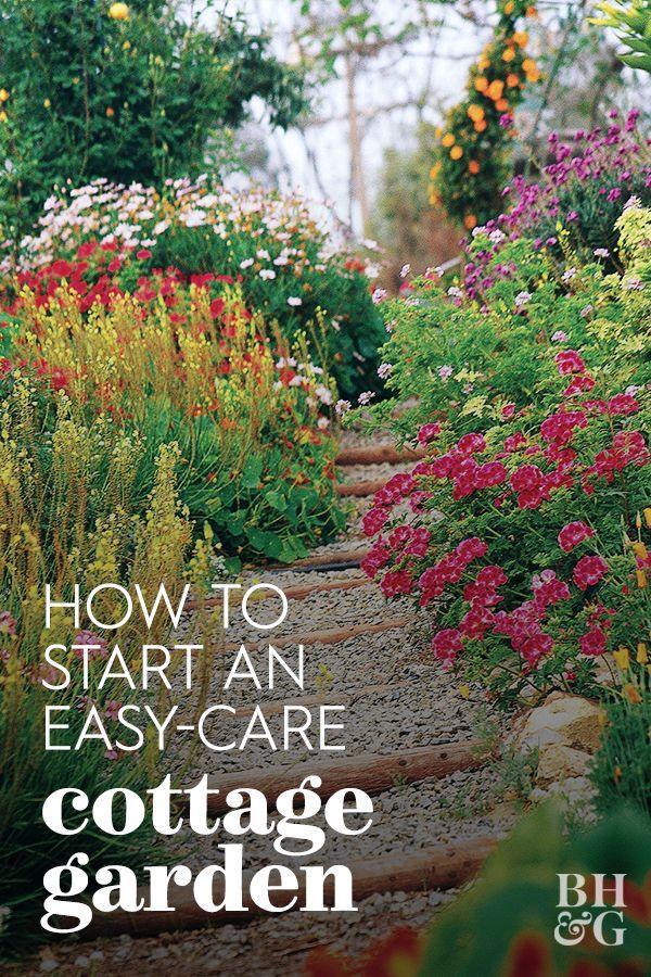 the cover of how to start an easy - care cottage garden