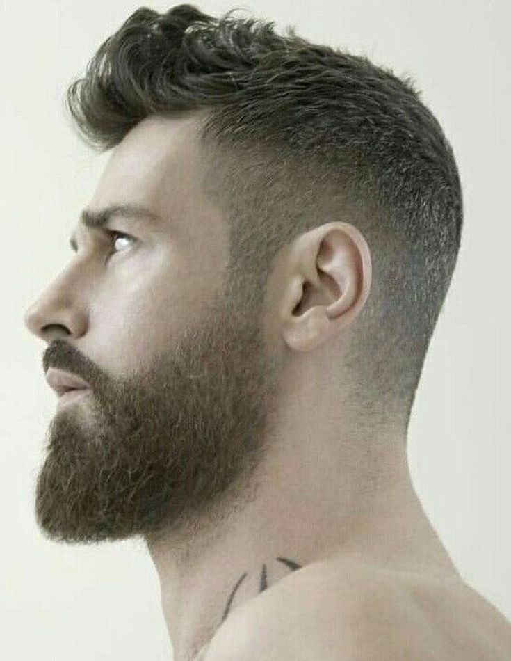 Beard And Tattoos, Beard Suit, Beard Shapes, Mens Hairstyles With Beard, Beard Styles Short, Beard Haircut, Best Beard Styles, Shaving Beard, Beard Hairstyle