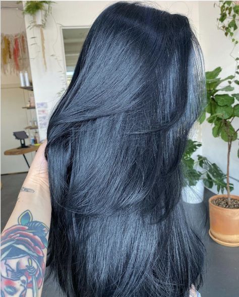 Dark Blue Hair Almost Black, Blue Black Hair Inspiration, Long Blue Black Hair With Layers, Jet Black Blue Hair Color, Midnight Blue Hair On Black Hair, Black Hair That Looks Blue, Black Velvet Hair Color, Navy Dark Blue Hair, Jet Black With Blue Tint