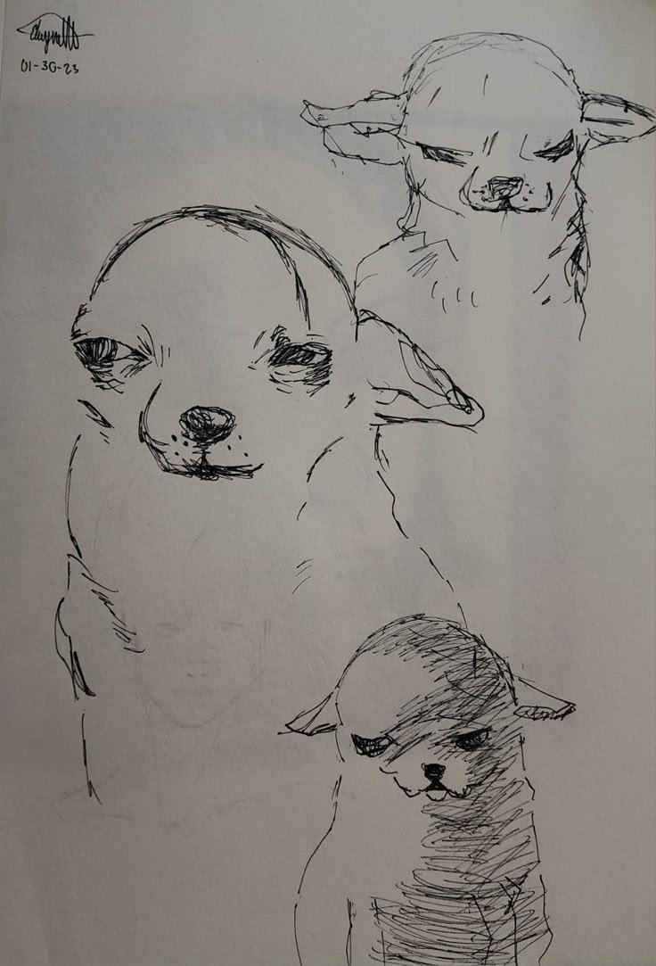 a drawing of two dogs with one dog looking at the camera