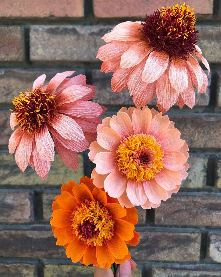 three pink and orange flowers are in front of a brick wall, with one being held up by a hand