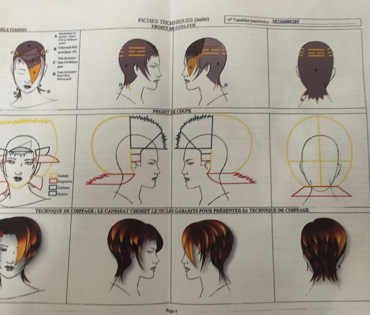 Mullet Haircut Diagram, Hair Couleur, Mullet Cut, Shaggy Mullet, Rocker Hair, Shaggy Pixie, Hair Foils, Shag Cut, Layered Bob Haircuts