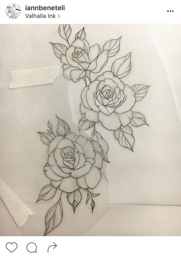 a drawing of two roses on paper