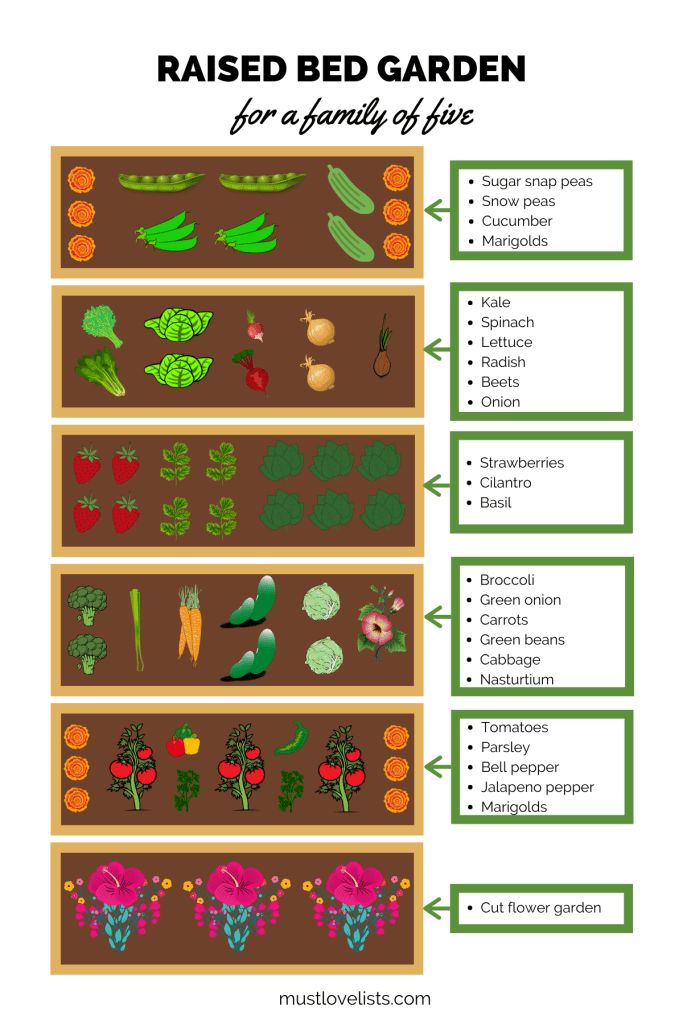 a garden plot with different types of plants and vegetables on it, labeled in the words raised bed garden for a family of people