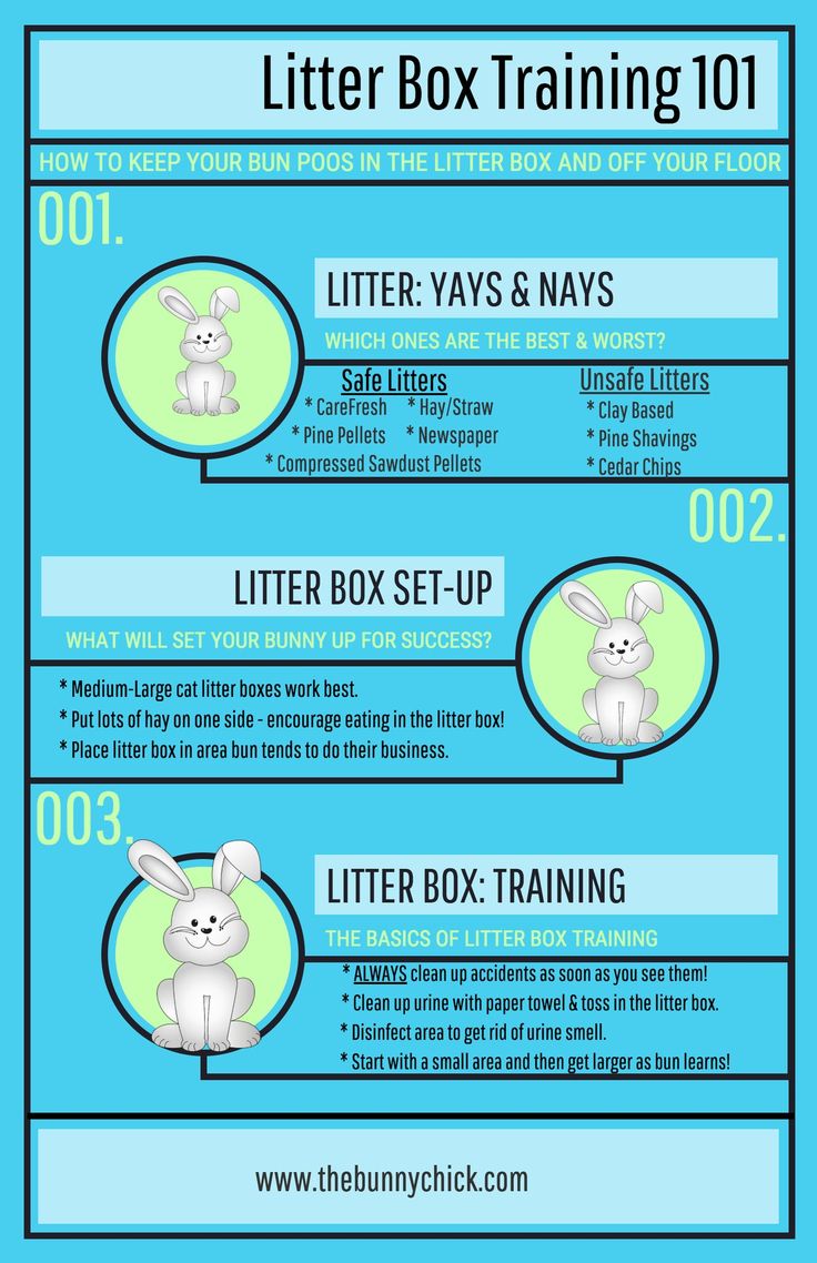 an info sheet with instructions on how to use the litter box training 10107