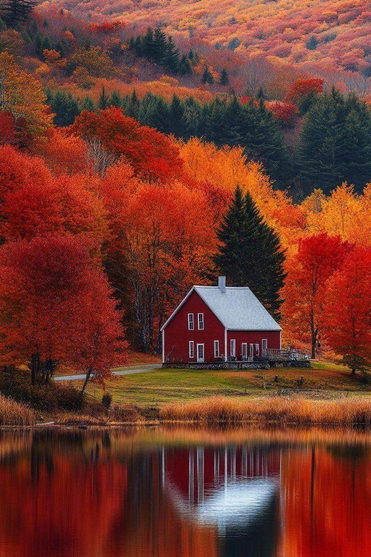 a red house sitting on top of a lush green field next to a forest filled with trees