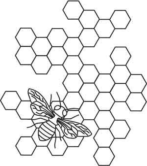 a drawing of a bee on a honeycomb in the shape of hexagons