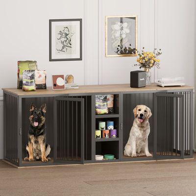 two dogs are sitting next to each other in front of a bookcase with doors