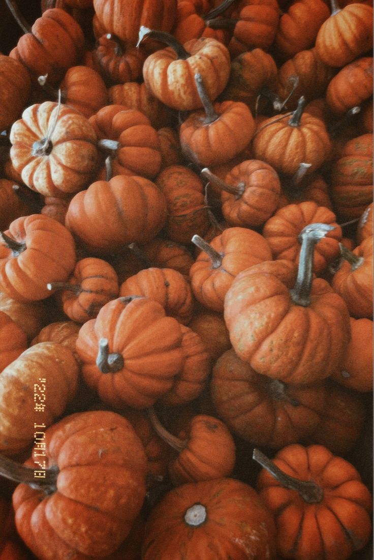 a pile of orange pumpkins sitting next to each other