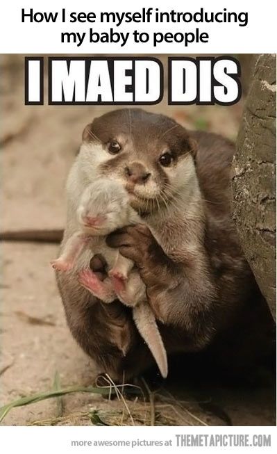 an otter holding its baby in it's arms with the caption, my grace is sufficient for you for my power is being perfected in your weakness 2 corinhans