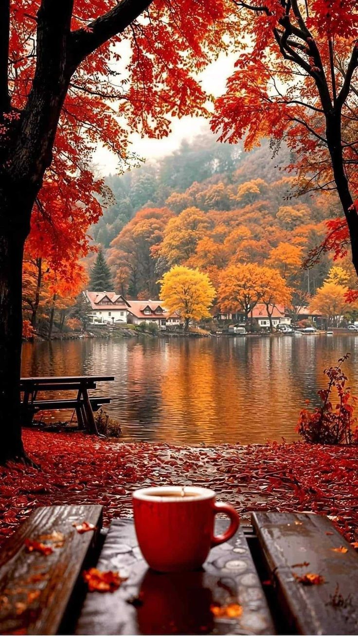 a cup of coffee sitting on top of a wooden bench next to a lake covered in fall leaves