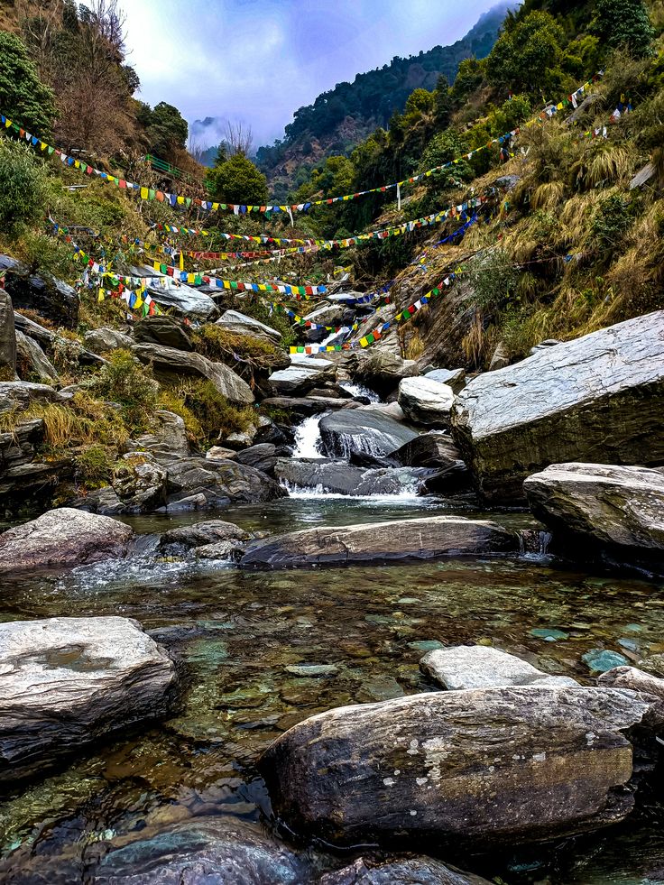 a stream running through a lush green forest filled with lots of rocks and colorful flags