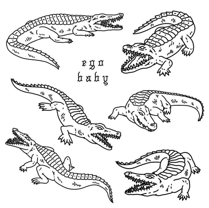 four alligators are depicted in this black and white drawing, with the words never say