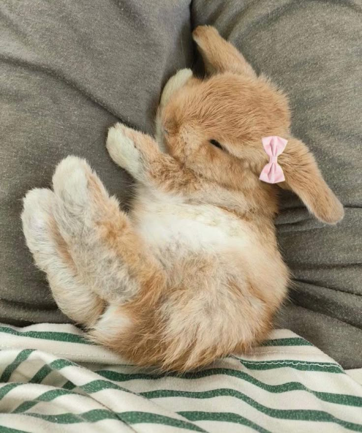 a stuffed animal laying on top of a pillow