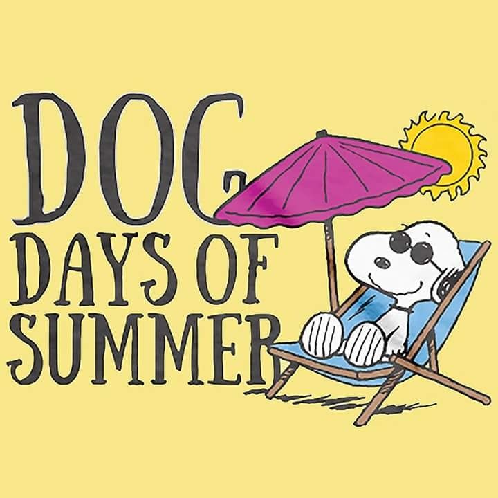 a cartoon dog sitting in a lawn chair under an umbrella with the words dog days of summer on it