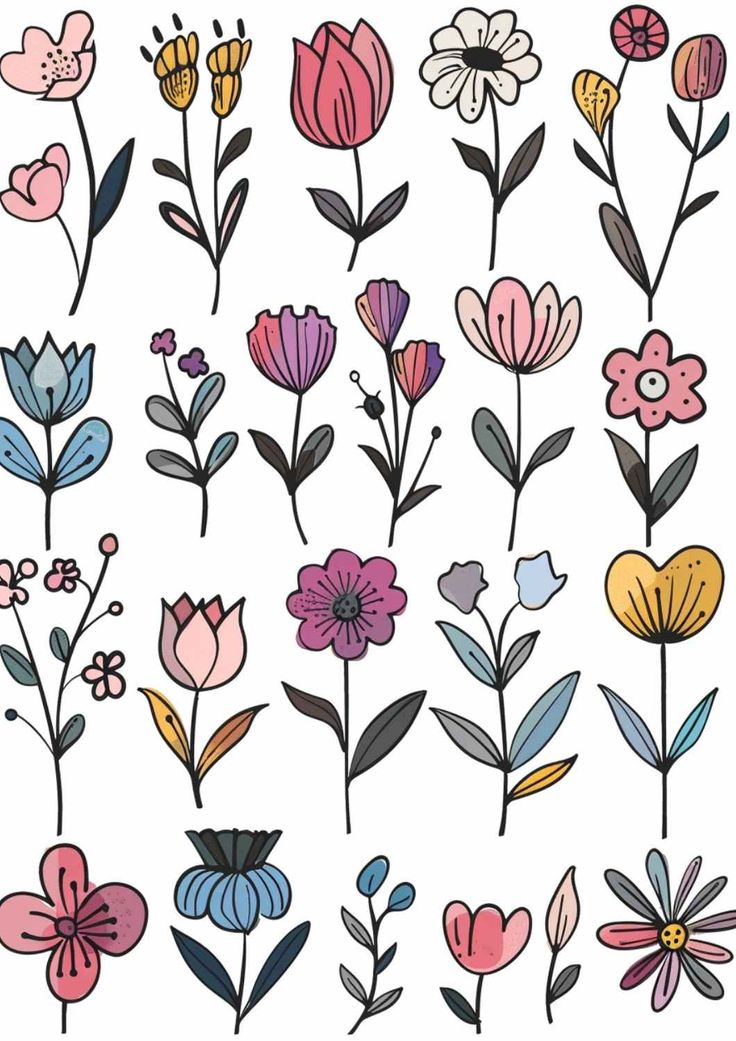 an assortment of flowers on a white background