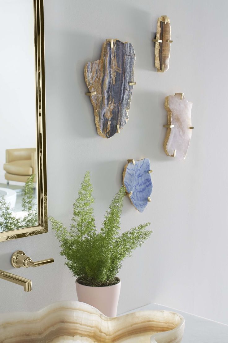 there is a potted plant on the counter in front of some rocks and mirrors