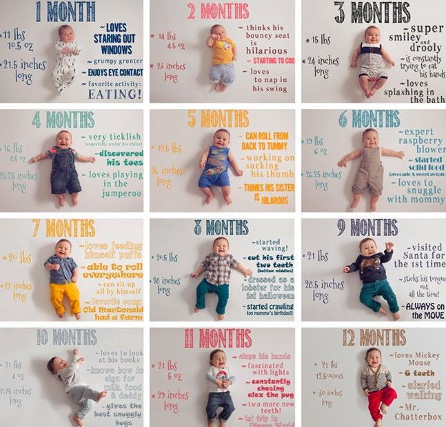 the baby's six months are shown in different positions, including their names and numbers