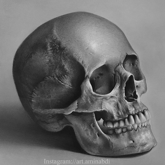 a black and white photo of a human skull with the lower jaw missing from it