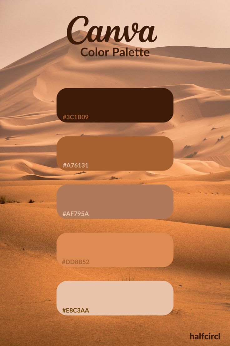 the color palette for canva is shown in shades of brown, beige and white