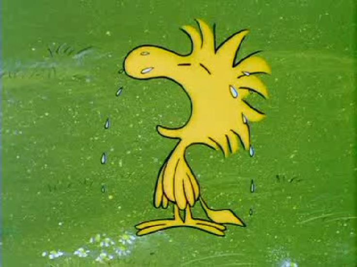 a yellow bird standing in the rain with it's eyes closed