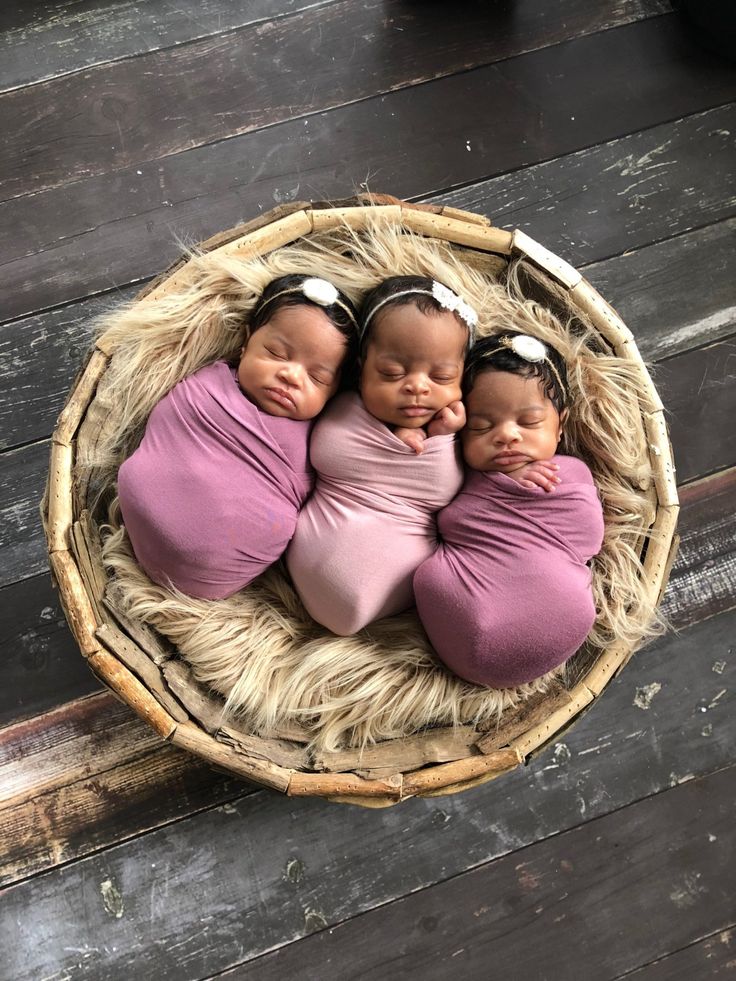 three newborn babies are sleeping in a basket