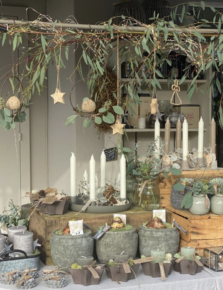 a table topped with lots of potted plants next to candles and other items on display