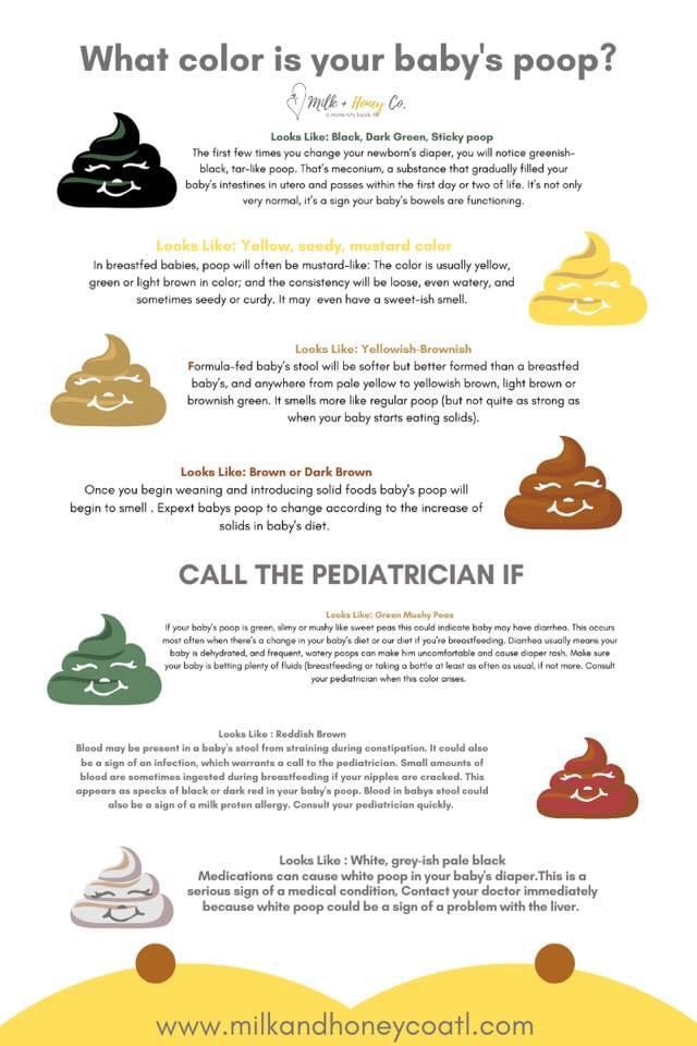 an info sheet describing the different types of baby's poop and how to use it