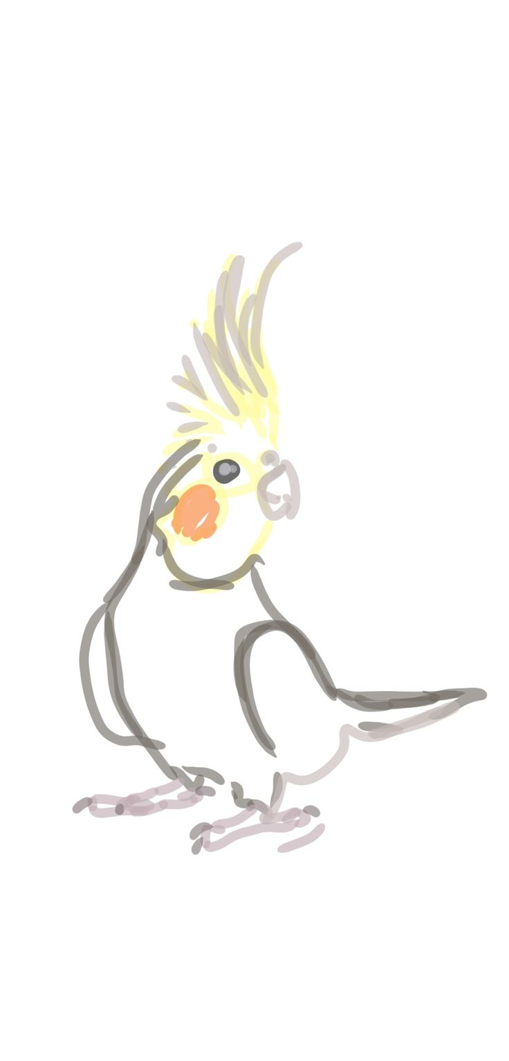 a drawing of a bird sitting on top of a white surface with an orange beak