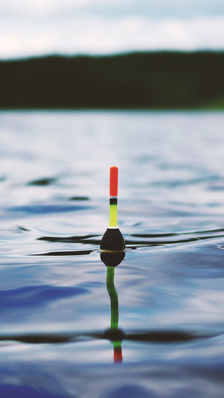 an orange, yellow and green marker sticking out of the water